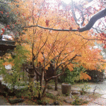 覚園寺庭園