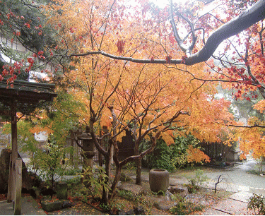 覚園寺庭園