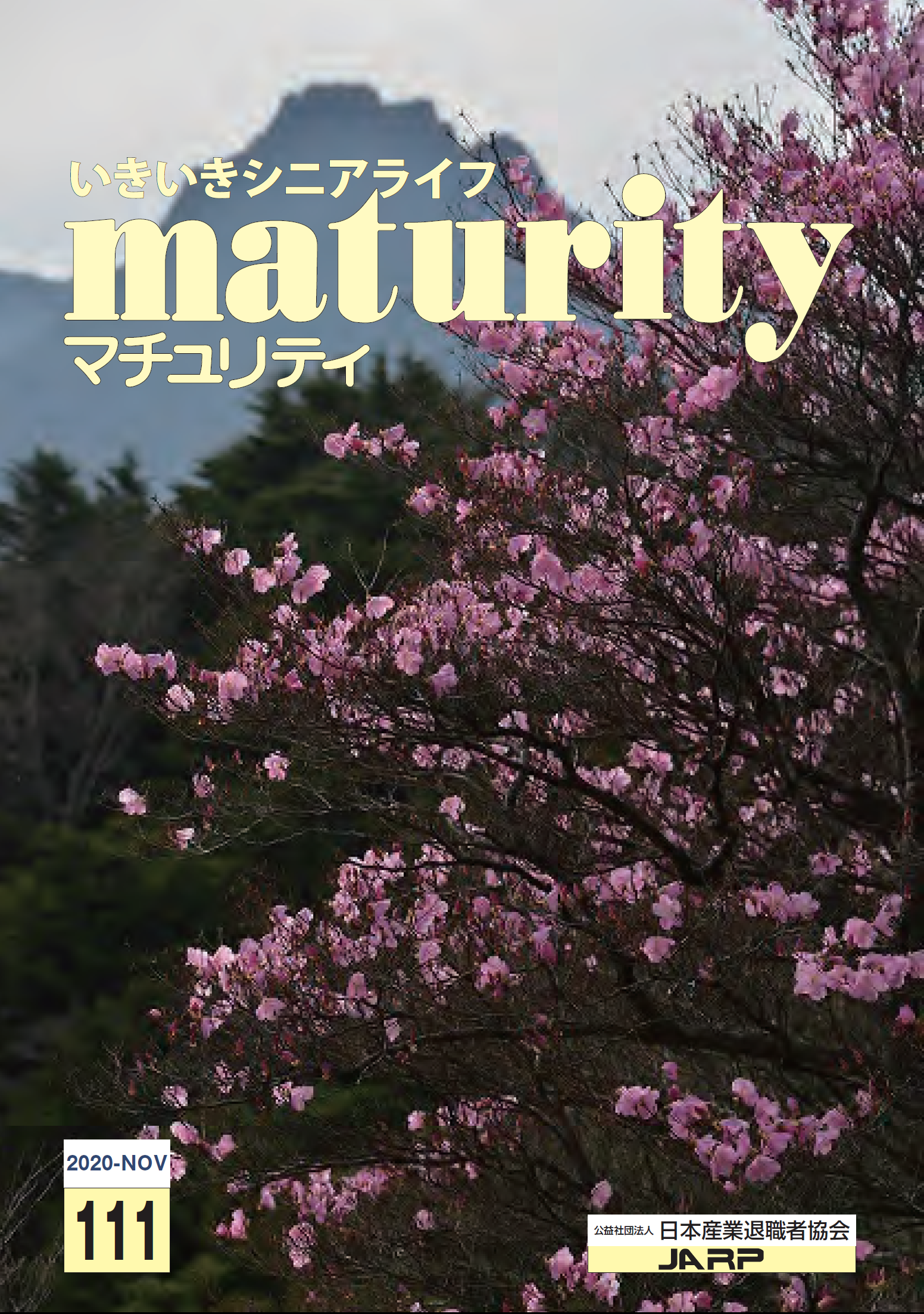 maturity111-p1